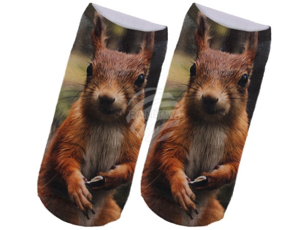 SO-97 Motiv Socken Design:Eichhörnchen Farbe: photorealistisch