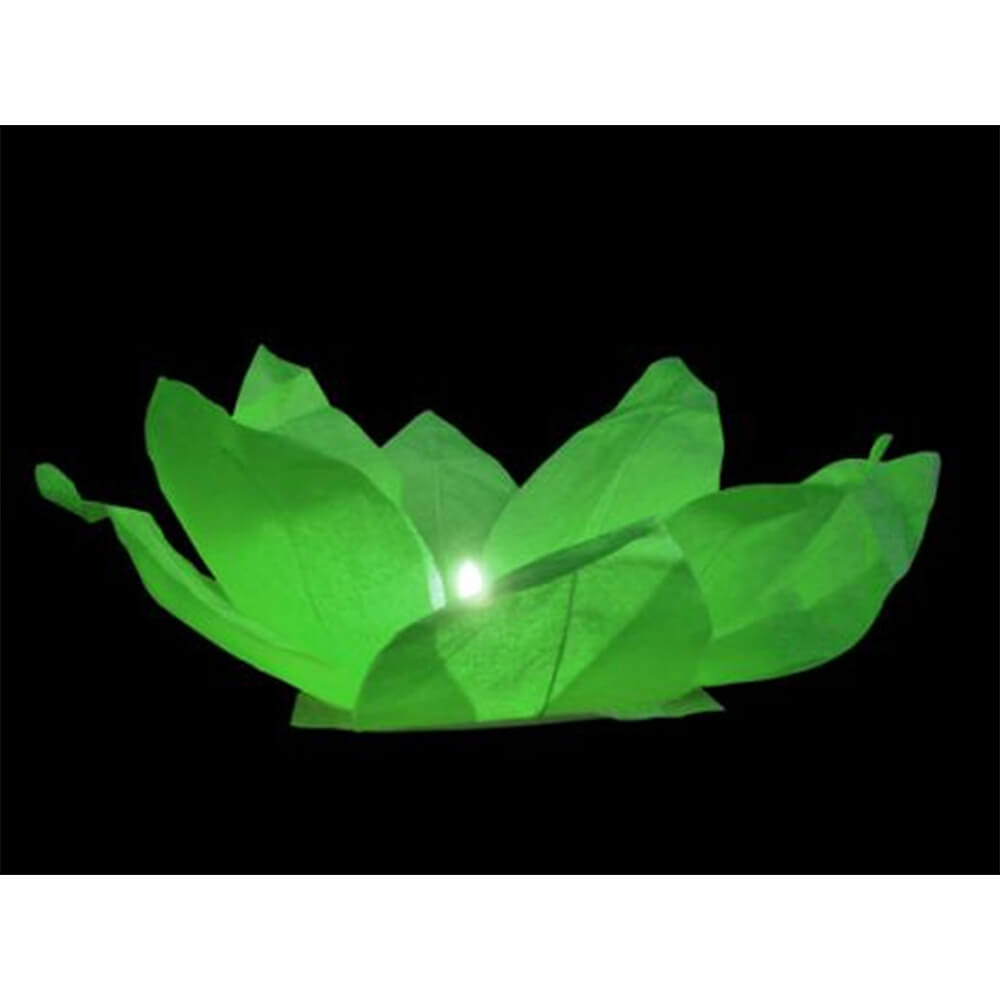 WL-03 Wasserlaterne grün Motiv:  Lotusblume