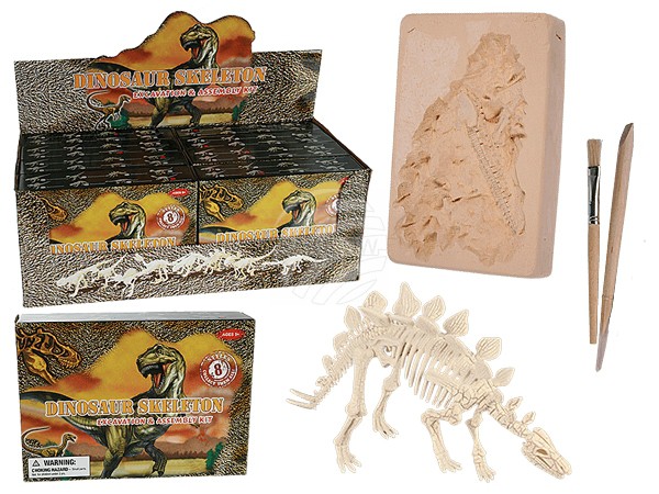 11-2003 Ausgrabungsset, Dinosaurier Skelett, ca. 4,5 x 18 cm, 8-fach sortiert, 8 Stück im Display, 800/PAL