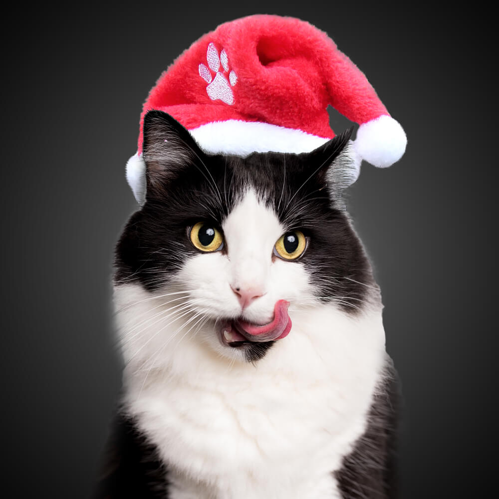 WM-90 Weihnachtsmütze klein für Kuscheltiere & Haustiere (Katzen)  